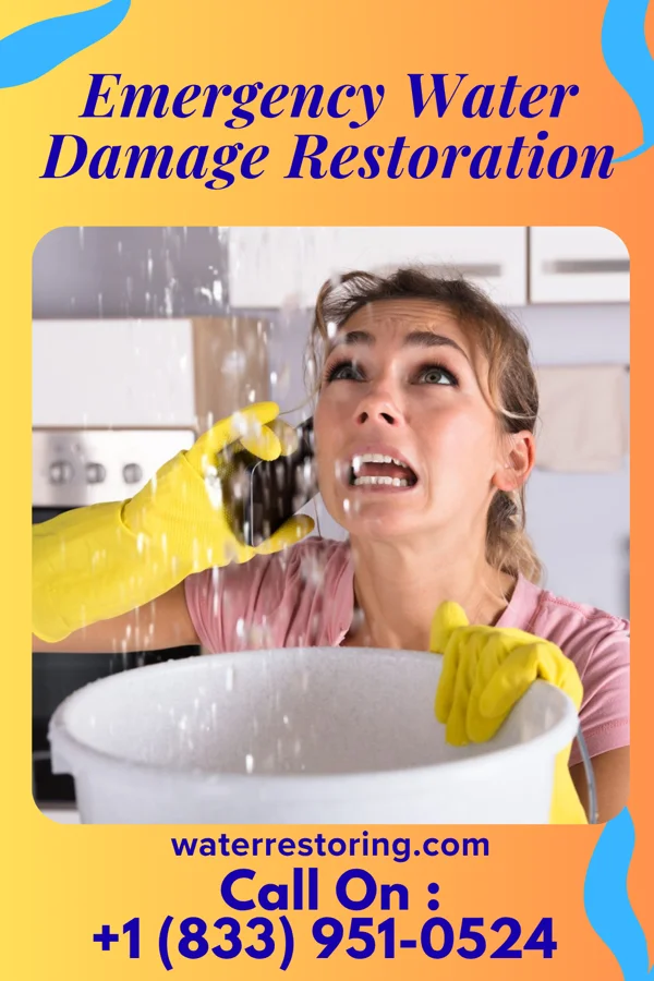 Emergency Water Damage Restoration in La Rosita, TX