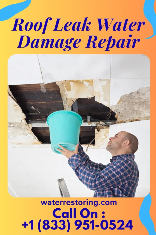 Roof Leak Water Damage Repair in La Rosita, TX