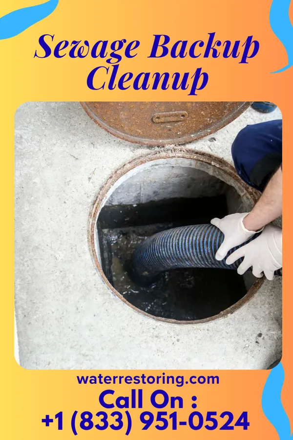 Sewage Backup Cleanup in La Rosita, TX